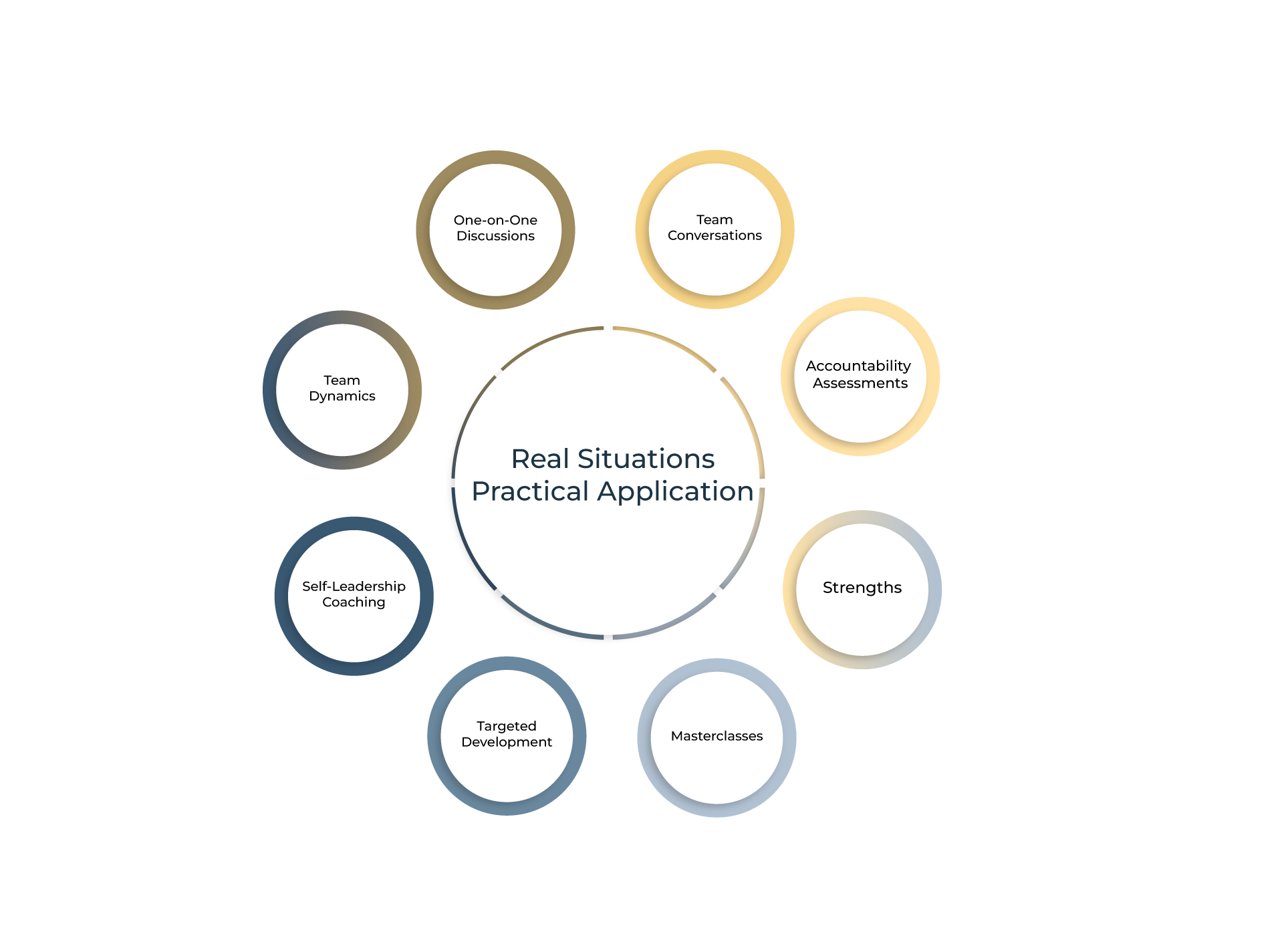 Leadership and coaching framework infographic showing real-world practical application supported by one-on-one coaching, team conversations, accountability assessments, strengths development, masterclasses, targeted development, self-leadership coaching, and team dynamics.